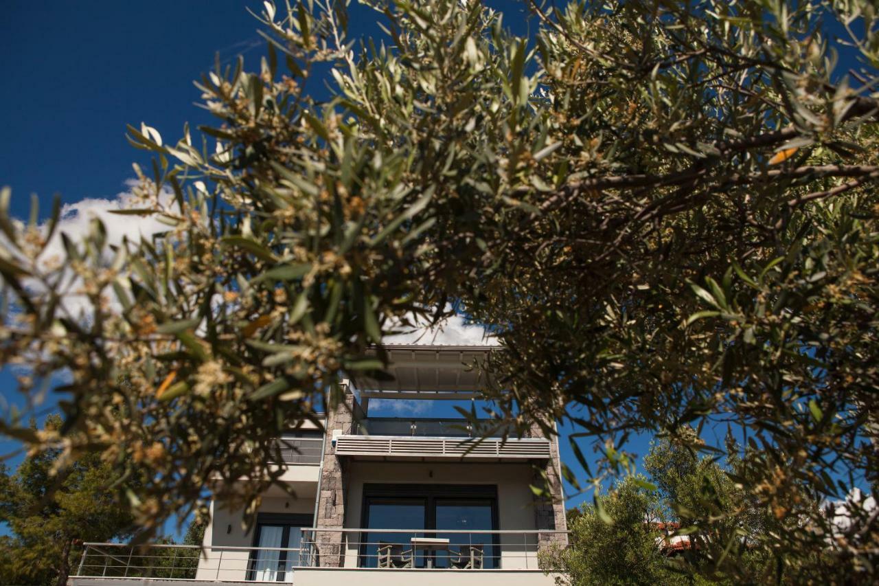 Olivia Estate Villa With Private Swimming Pool Elia Nikitis Exterior foto