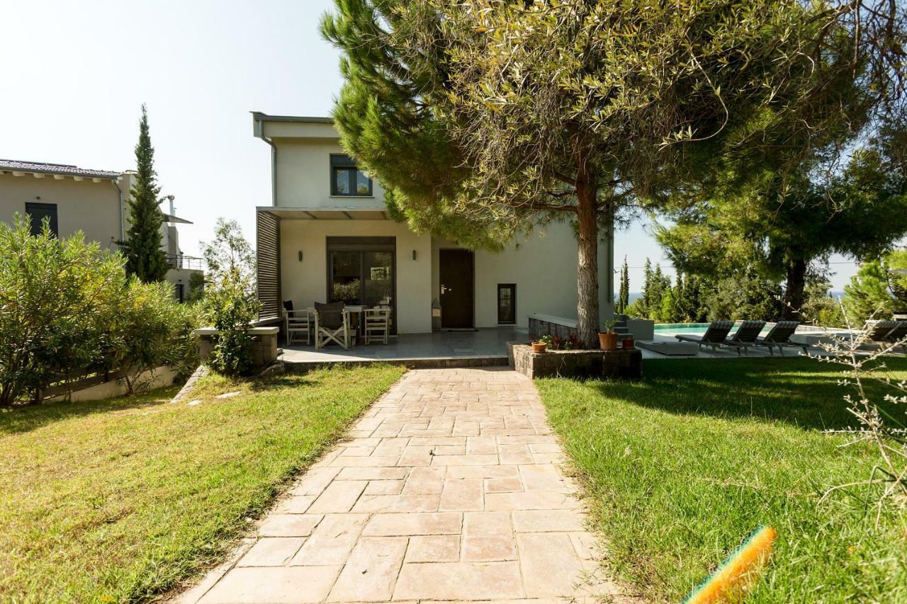 Olivia Estate Villa With Private Swimming Pool Elia Nikitis Exterior foto