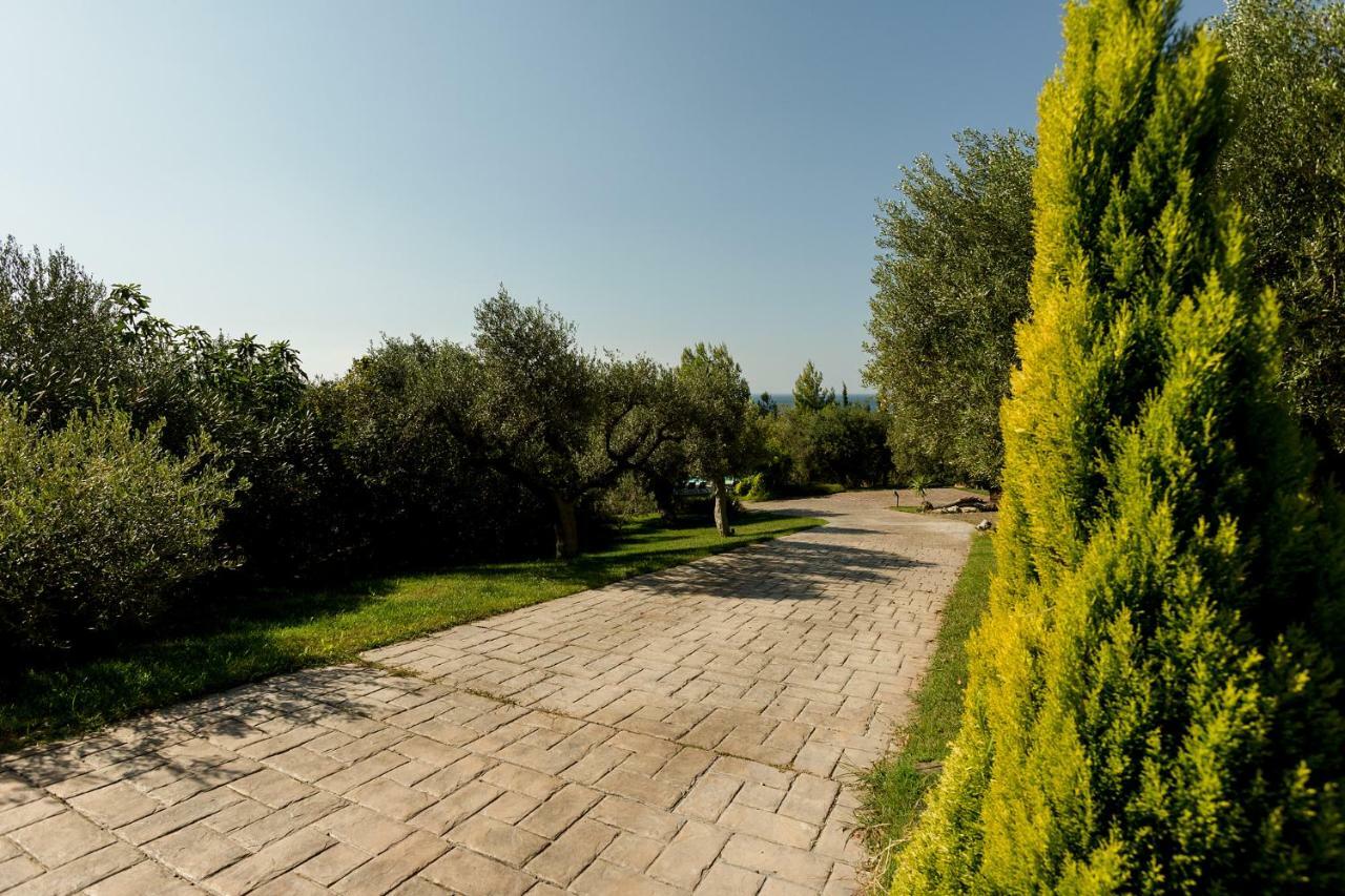 Olivia Estate Villa With Private Swimming Pool Elia Nikitis Exterior foto