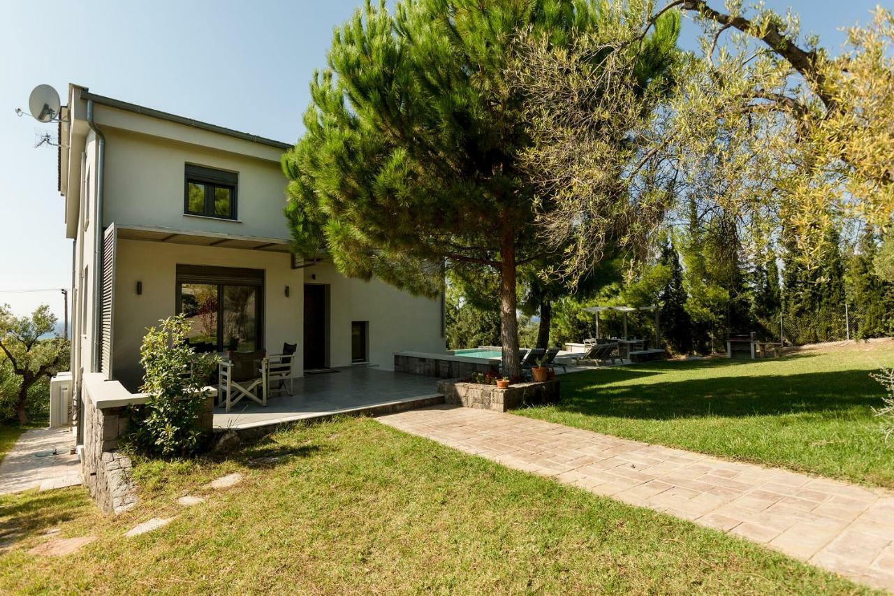 Olivia Estate Villa With Private Swimming Pool Elia Nikitis Exterior foto